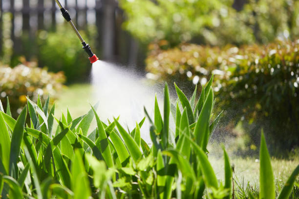 24/7 Emergency Mosquito Control experts in Monette, AR